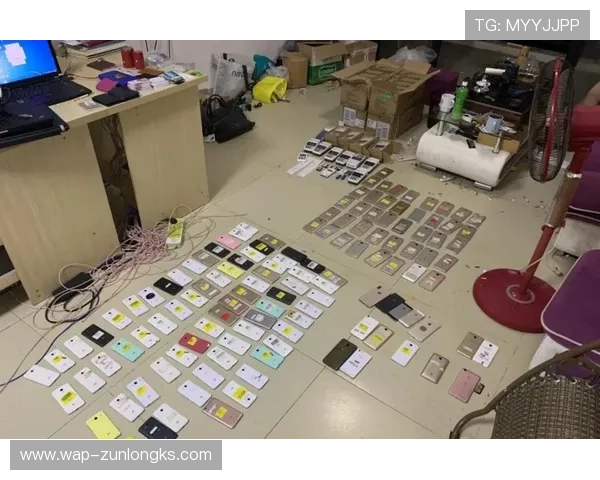 尊龙官方网平台支持多种支付方式，充值提现方便快捷