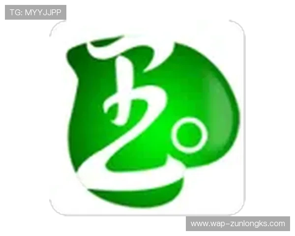 尊龙手机官方客户端下载安卓应用，享受优质手机娱乐与实用工具