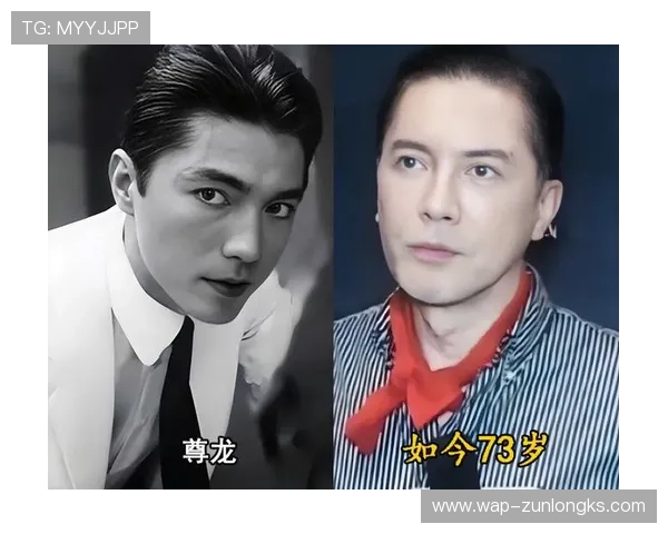 探索尊龙龙在中国现代社会中的新解读与表现